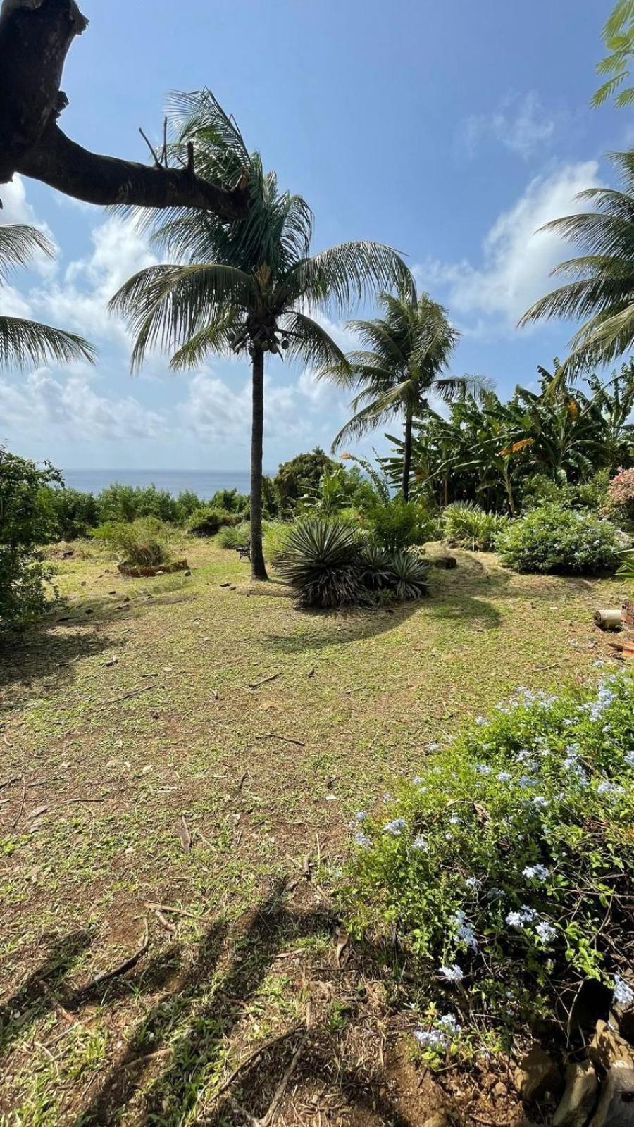 Pousada Canto Do Boldro Fernando de Noronha Zewnętrze zdjęcie
